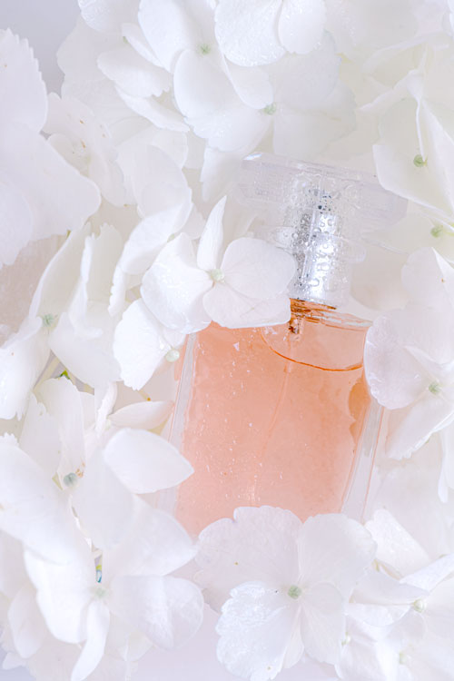 perfume-company-09 - Jeau's Kraam & Cadeaux